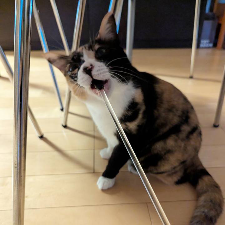 F3d968aa 4d80 4ddc bc1d 088ab374bc3e 1753312765701