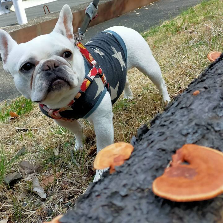 F3d98b73 b813 48cd b8d6 bfd5d9e33fd3 1646640732019