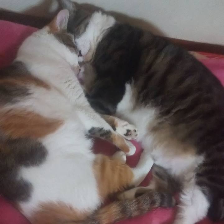 F3d9bba4 468b 4ba8 a318 2386516be347 1725720535406