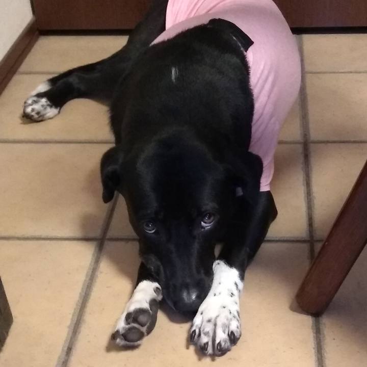 F3d9bfb2 2eac 4fa9 89b8 3c11340d6a87 1621507717143