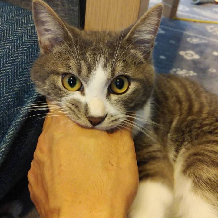 F3d9d5ba 824a 4b6f a7d6 b547d35f160a 1570772260170