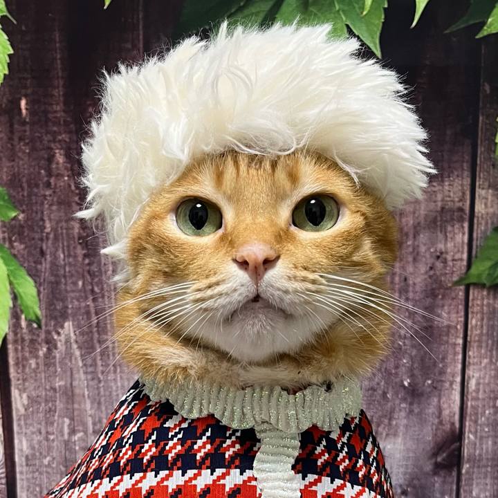 F3d9eaef f83c 4d52 807b 96f12ecc0032 1758749023064