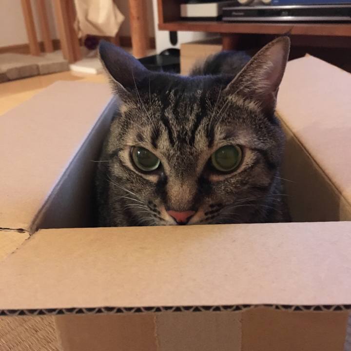 F3da0df6 778f 41cf a595 10f4f8e83719 1539956504066