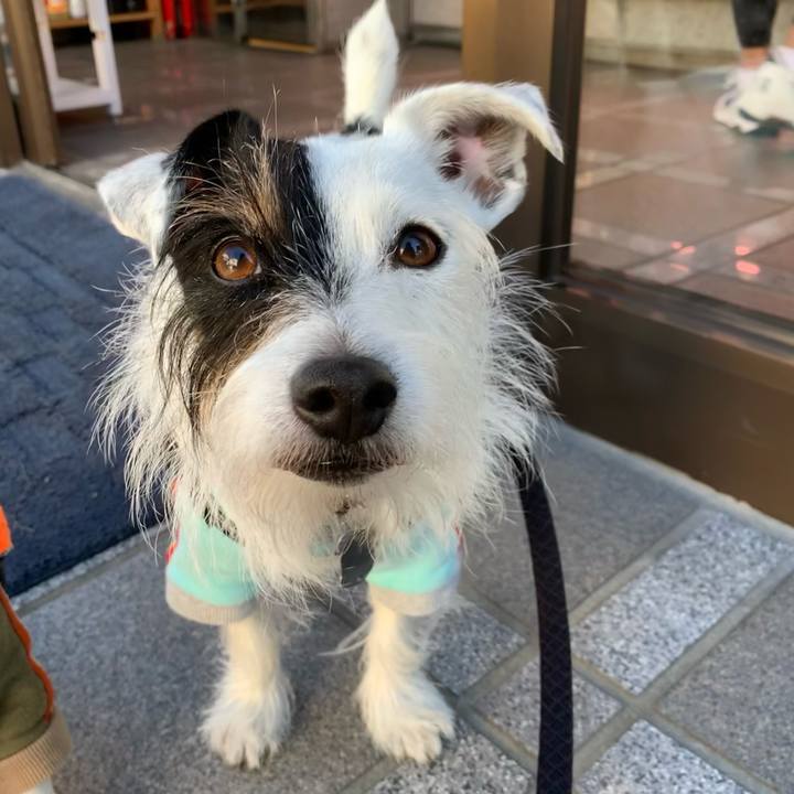 F3da1ba2 a1dd 4d38 a72e d6aab1d807af 1638584712516