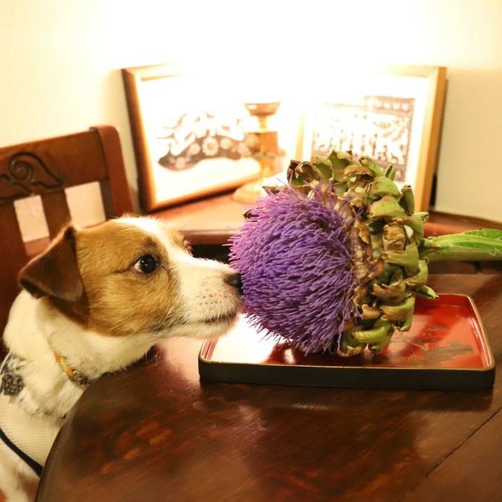 F3da2024 fad0 4598 ac70 24a18fef4c06 1529409463121