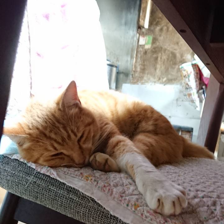 F3da3b89 6433 4985 a19c 824d3e8e83c3 1606164682771