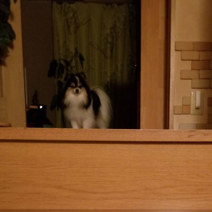 F3da3d59 b9f6 44e8 8319 bf327851d9e2 1584099714440