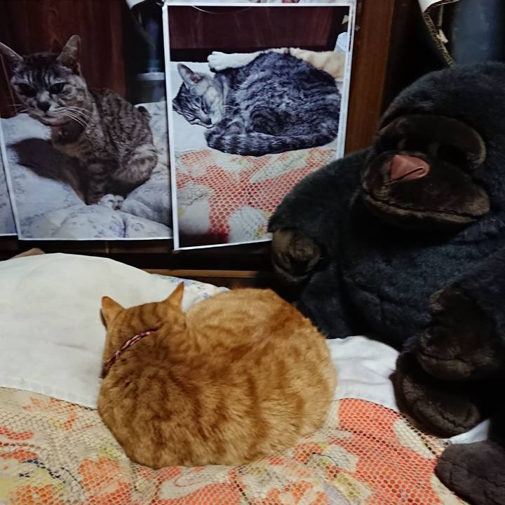 F3da4cd6 7cb9 4e50 8bed 761431ee0bc9 1608374035383