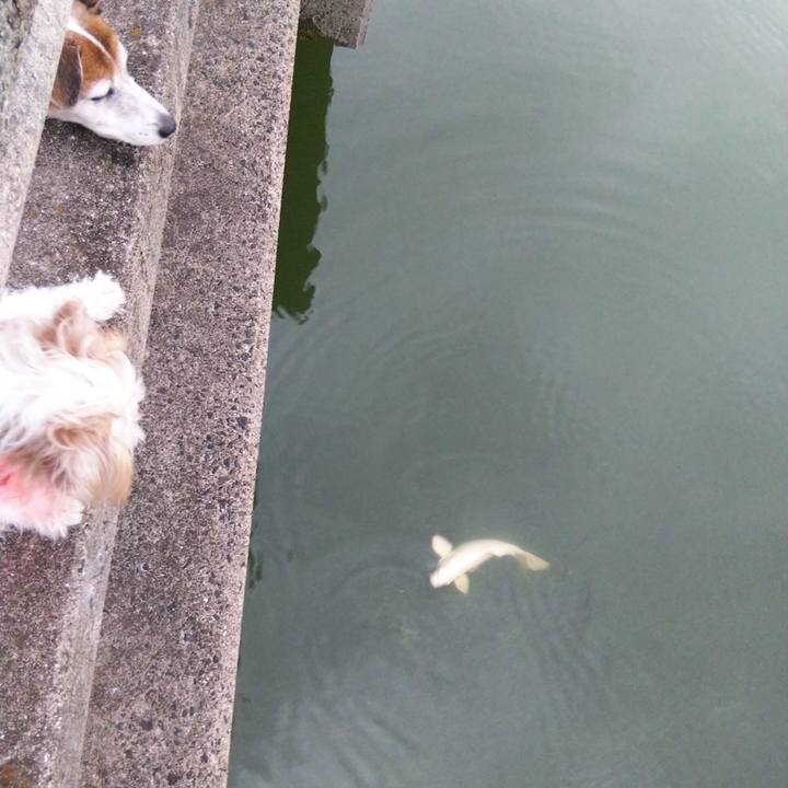 F3da5fb1 b4e4 48af 8cc8 66fac486dfcb 1537005192446