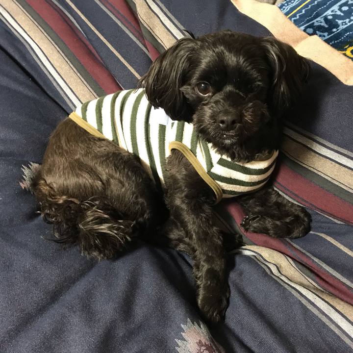 F3da8363 31fa 4755 916e 128844f1cdf1 1552733332075