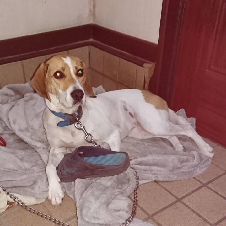 F3da85c0 c9d3 499b 8c1e 496b7c0e3362 1571043965044