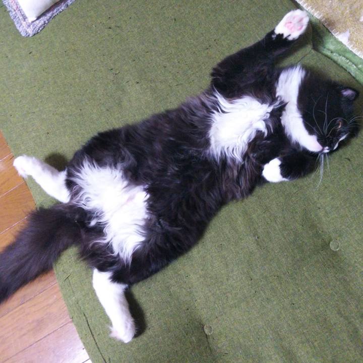 F3da9121 44b1 497f 9f95 e8228a9d1a9e 1647829652199