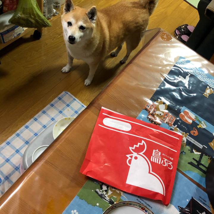 F3da975e 31b8 4768 a06d d7827a506dfa 1606623598253