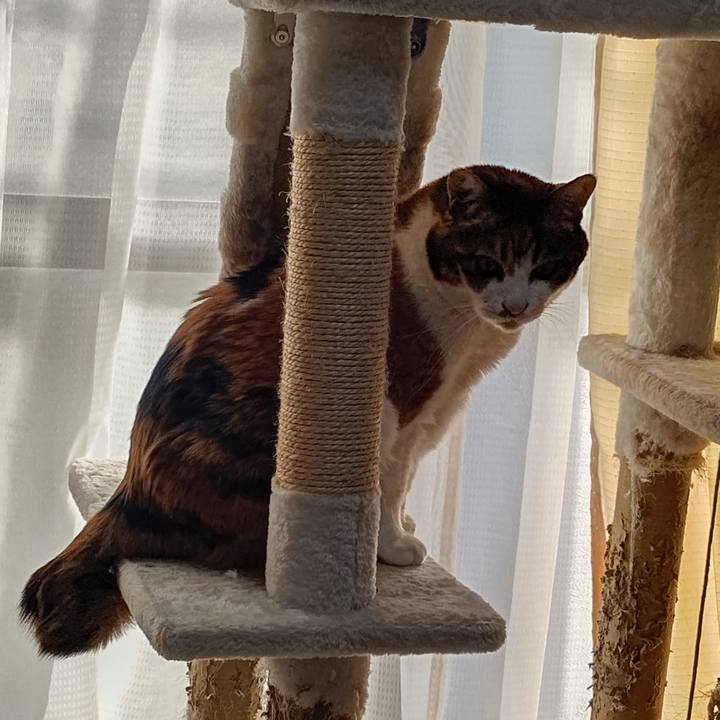 F3daa655 0c90 461e bc99 a4134bc4307d 1643781763439