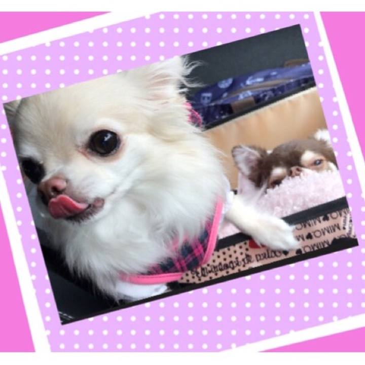 F3dadb79 5415 43b2 92cb fea17351a7f1 1508593484247