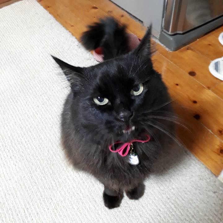 F3daff91 03b4 49e3 a437 1dd345d4b2df 1517663295875