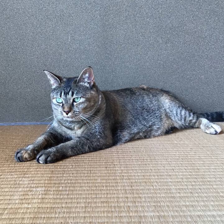 F3db166d 2fa9 4adb b693 1b51bf8ffa62 1722143089982