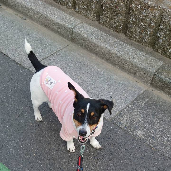 F3db2901 a7b9 4958 af07 95e5e2a986eb 1707985649719