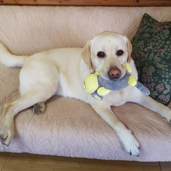 F3dba34f ceb7 46f1 b685 cfb95728f121 1554354299708