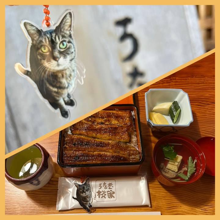 F3dbb52c a7fd 4053 8ec2 e271e796154e 1772262403933