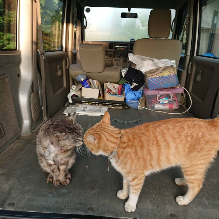 F3dbba30 8d71 46b9 929c 7a46f5c32931 1591303258973