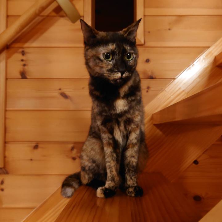 F3dc0f30 2282 46bc b0a4 297f35f9e91b 1759491415091