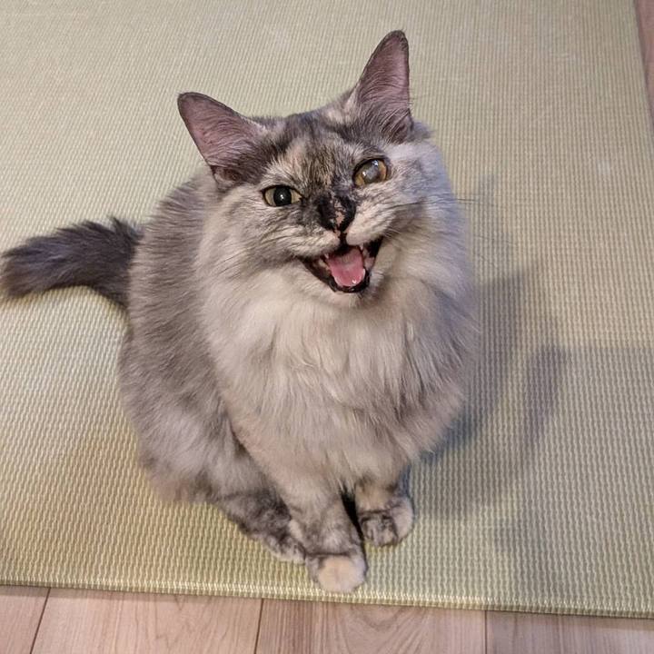 F3dc13b5 8b2e 4559 af34 501a5cb2752e 1747228504916