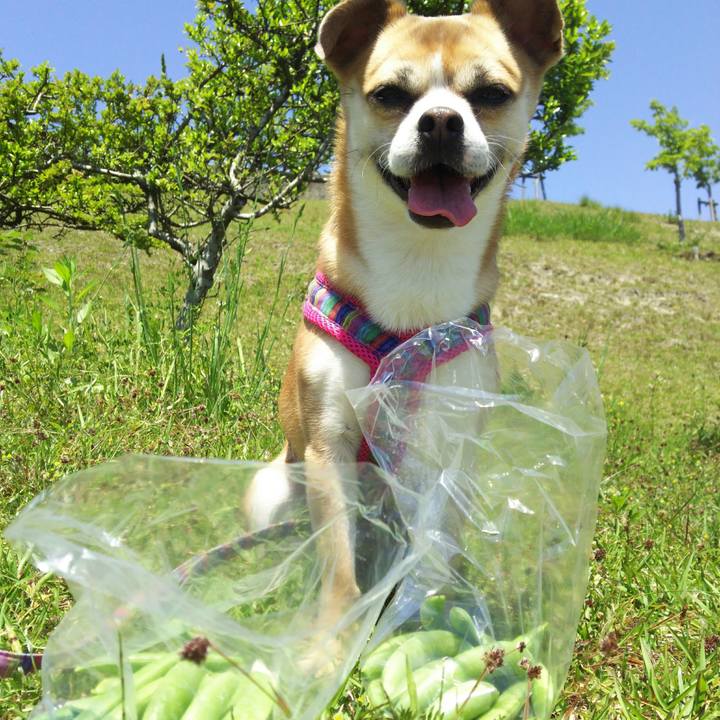 F3dc488d f296 4ea3 a067 3dba5cabce38 1557540306915