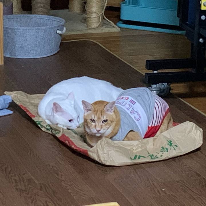 F3dc48ad c8f1 4268 9fe0 2f6e6e3cd957 1601299777696