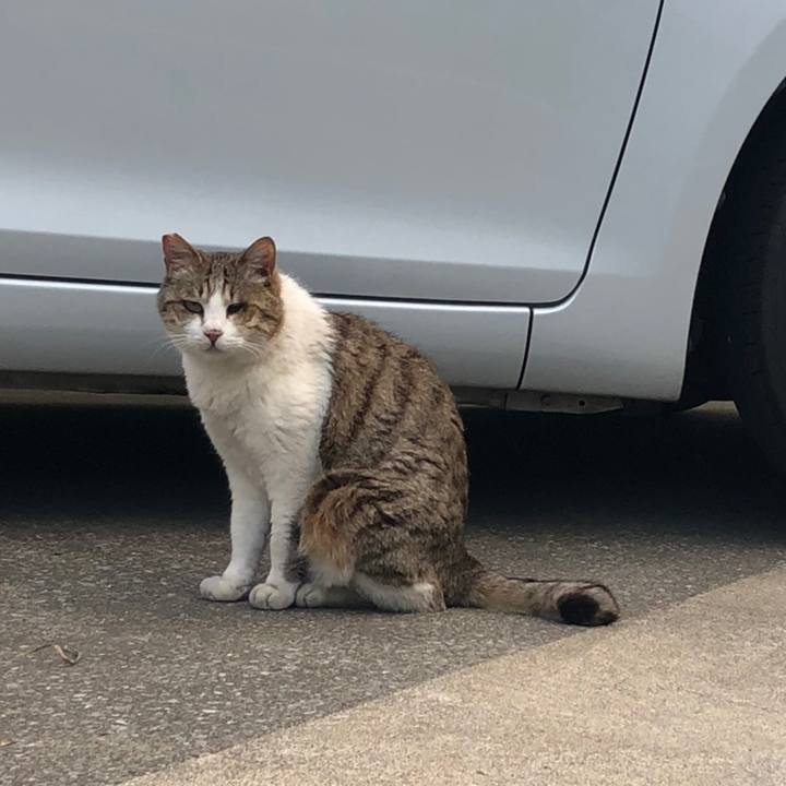 F3dc59b3 f315 42e8 80c1 14286017ad68 1558368659760