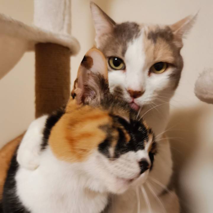 F3dc634f e886 45b0 8596 3e740b272134 1671867151323