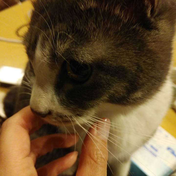 F3dc98ba 5c32 4268 bfde acdb5c5a81fc 1583336341781