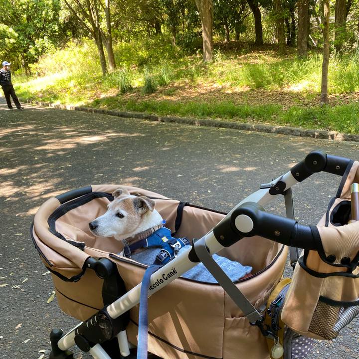 F3dc9bda b44f 421c 8d40 6cc3548e63ca 1651539703224