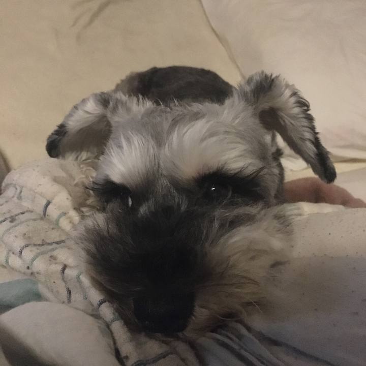 F3dcb820 03f0 4106 b4f1 d5e7e3e07c66 1599916709178