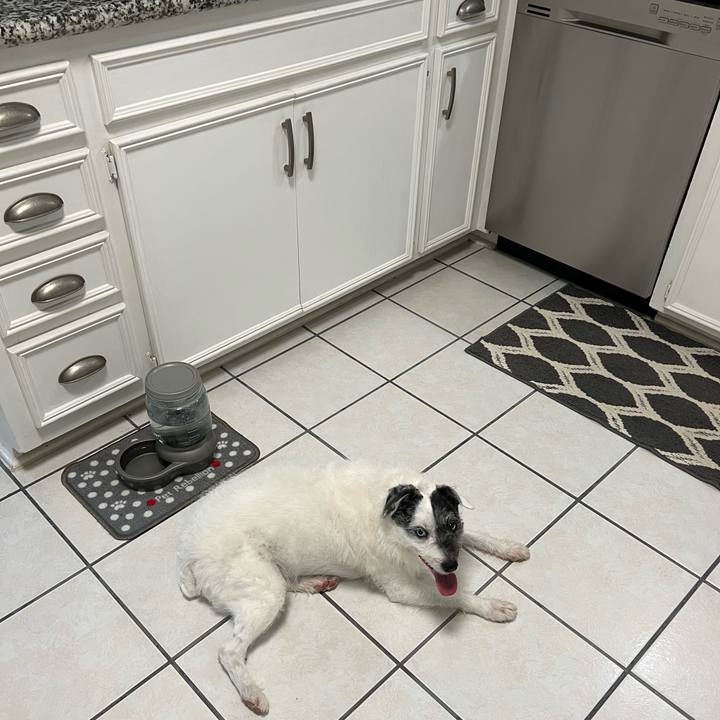 F3dd0451 1176 4f56 bf6d 6f2b6b3d8baf 1681851596723