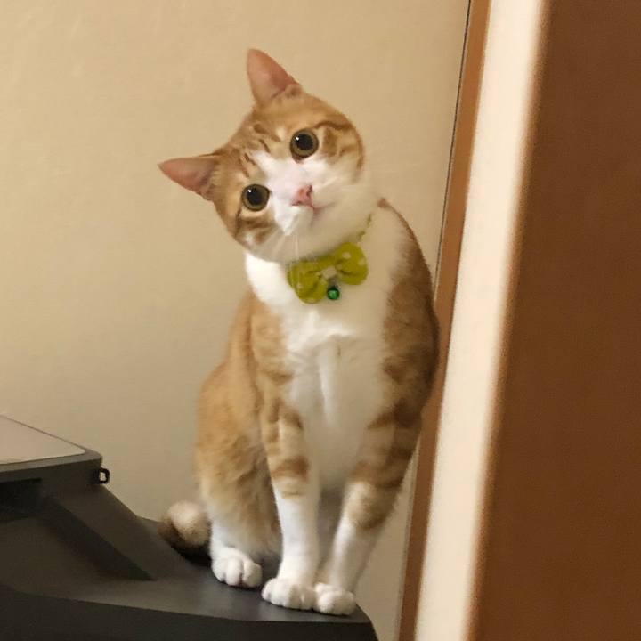 F3dd216f ceba 4a8b a363 a56aa4a3a18e 1587727892866