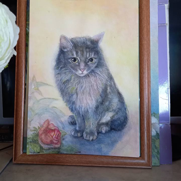 F3dd4635 5fb4 466e bbc1 0e64fbea7ca3 1603627288632