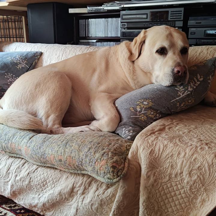 F3dd46fa 0a75 45cd 9a36 043d8107edab 1734070863633