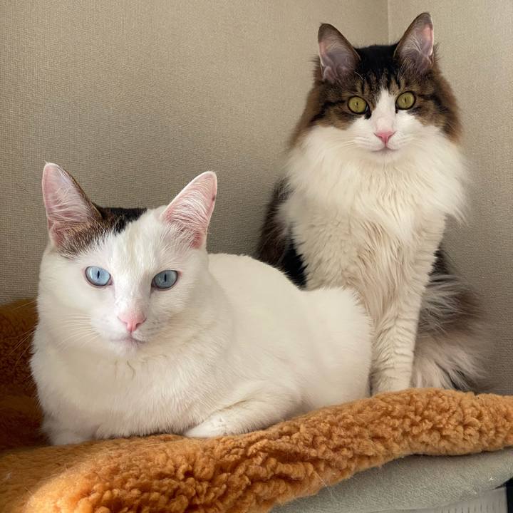 F3dd6445 cf5d 4741 8f63 6e770cbc5bbe 1579093924195