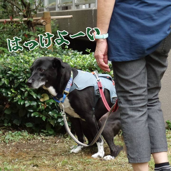 F3dd6a0c 2622 4966 b9a4 a2a34ef75564 1727916641936