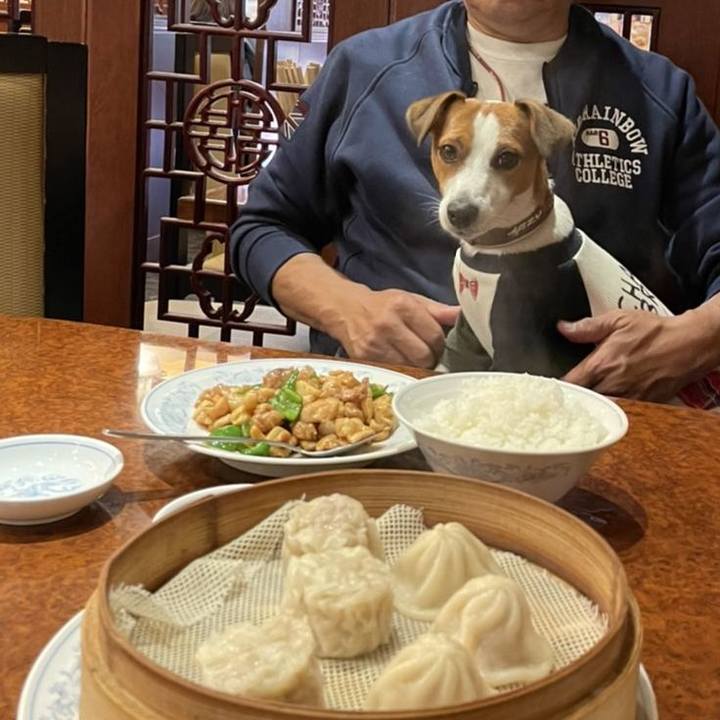 F3dd9119 ec37 478e 9f9a 604f74841f8c 1667385221698