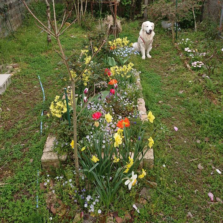 F3dd9289 1fd1 4332 b464 d4115f67d701 1585492009153