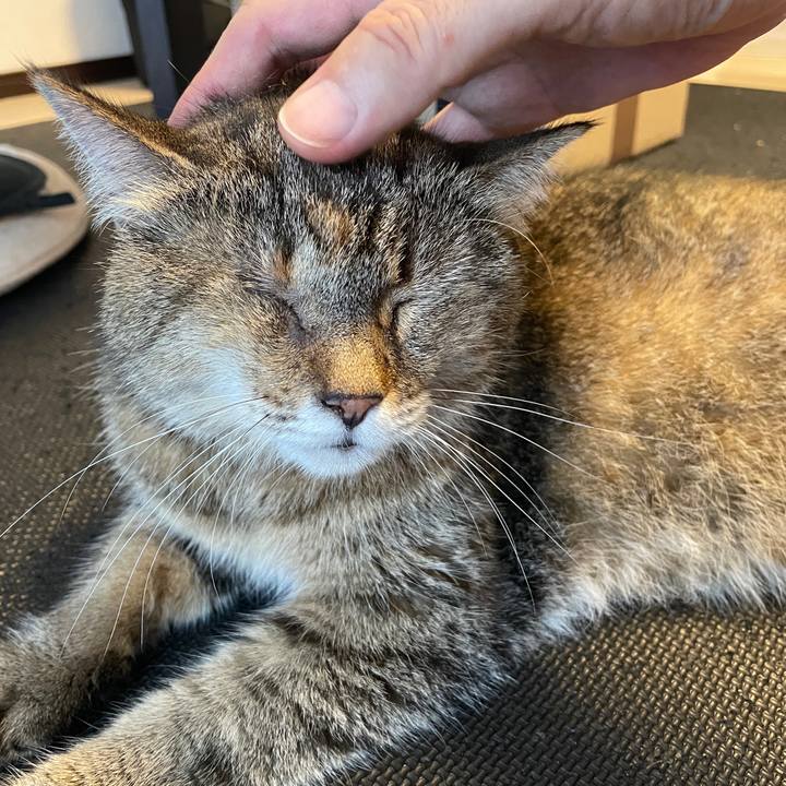 F3ddd7f8 846a 4bad b244 91700b921ab1 1752323408024