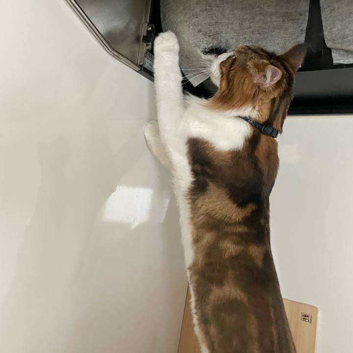 F3ddfd16 df97 4339 9e19 42fcbc0d77ad 1660858123448