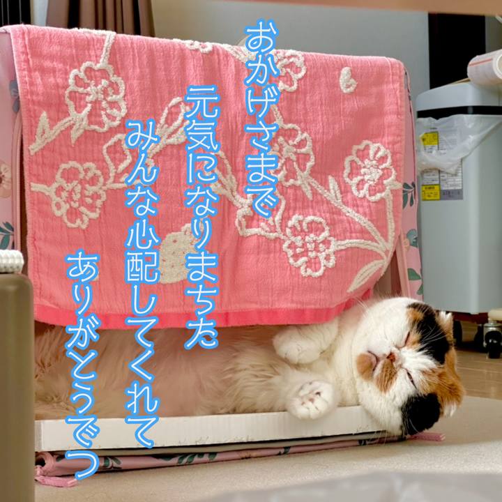 F3de0816 b991 463b 981b 685b127e91ed 1722304912130