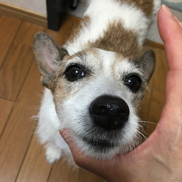 F3de4bb4 5470 4604 b91a e1c50de888c4 1659482452693