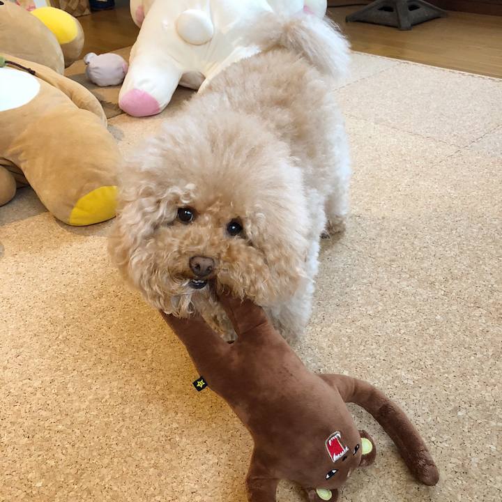 F3de95ad 9086 458c 9693 68e067570bef 1521256545609