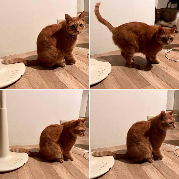 F3ded4e2 3584 4425 b2fb 52b613499e09 1530857891652