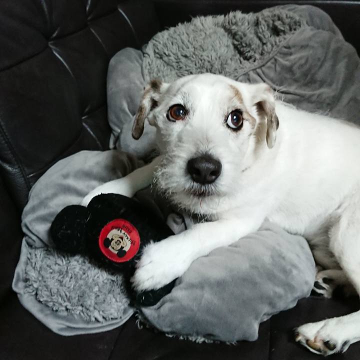 F3df0777 d4e5 4e8c ade2 873a3b610ead 1551222557314