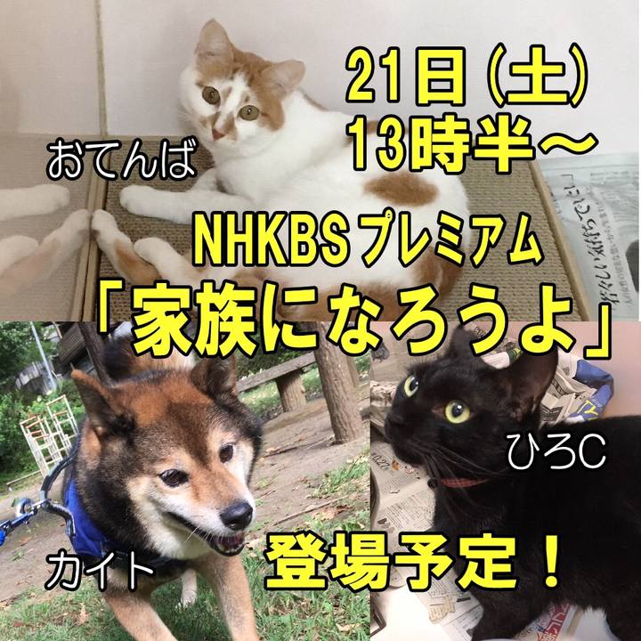 F3df2d7a b328 421e 8ccf 6e0f1eb66423 1568933203258